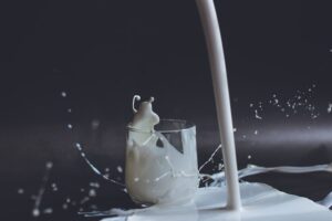 lactose